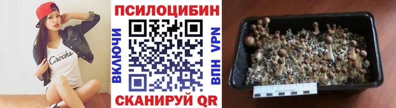 Галлюциногенные грибы Magic Shrooms  Партизанск 